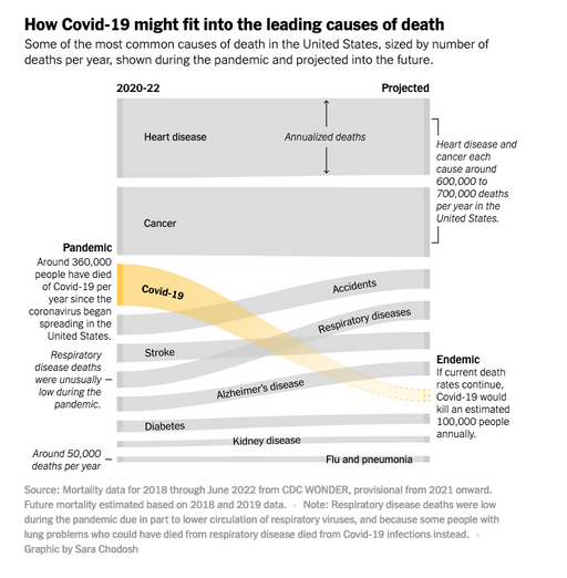 Sankey chart picturing how COVID-19 relates to leading causes of death in the US, published by New York Times (July 2022).